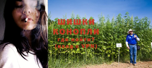 соль ск Липки