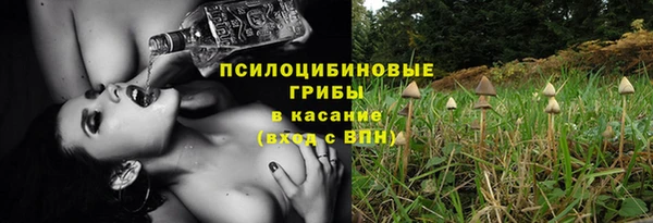 стаф Ладушкин